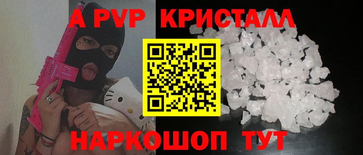Альфа ПВП СК КРИС Сочи