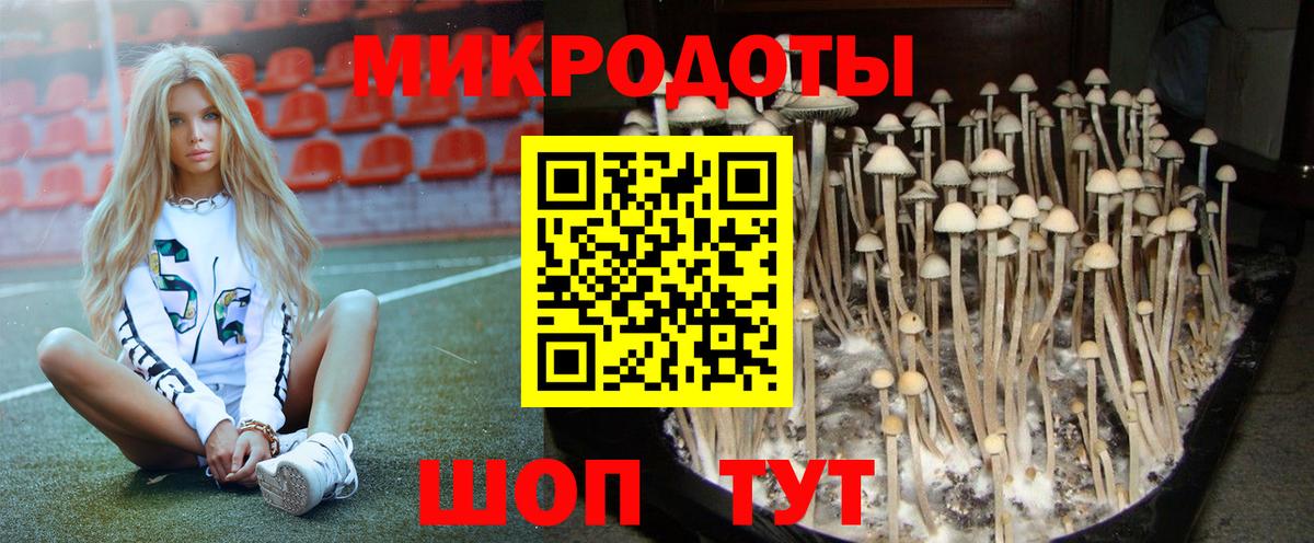 Галлюциногенные грибы прущие грибы  Вход с VPN  Псилоцибиновые грибы прущие грибы  Сочи 
